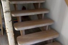 trappe-vist-for-neden